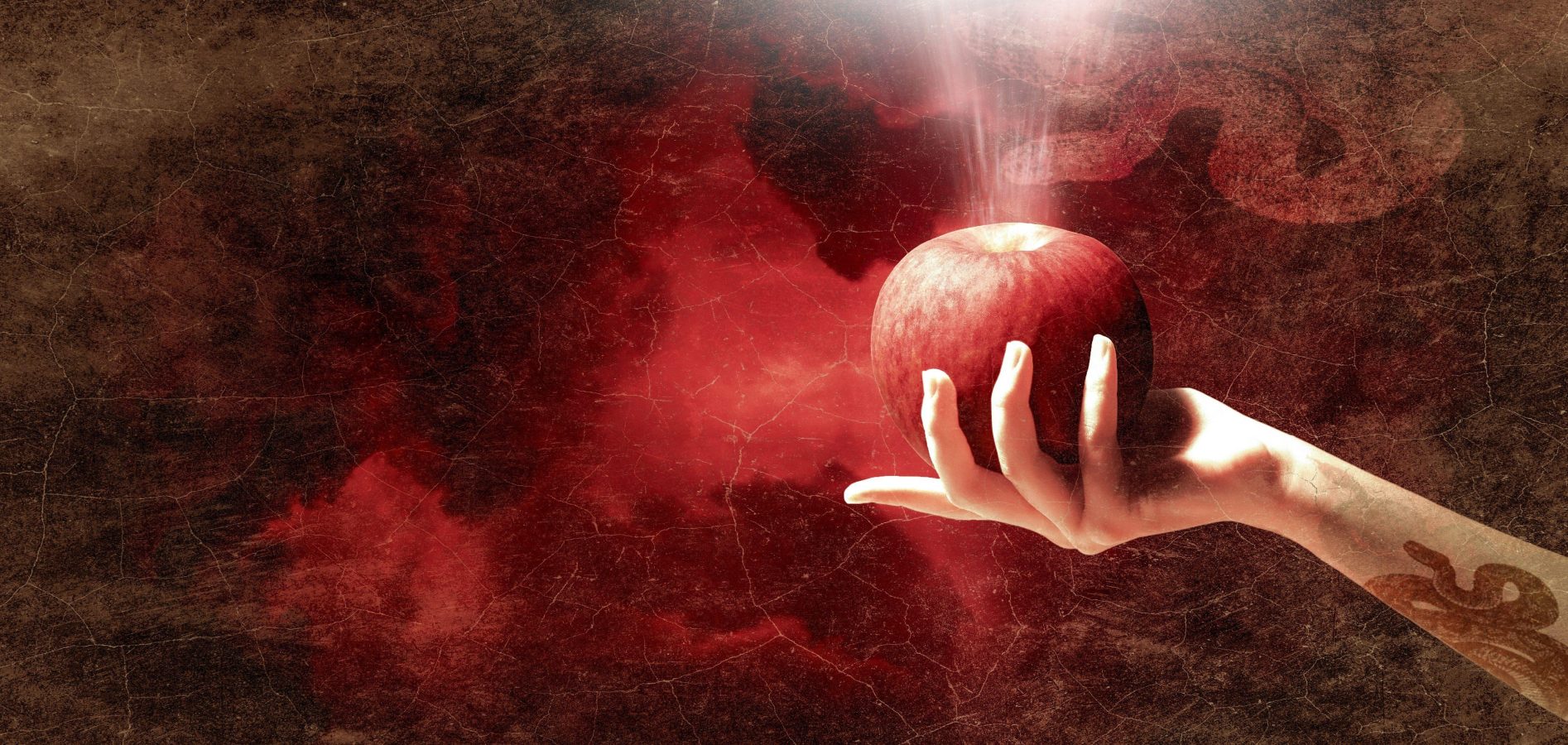 Customer experience wow effect blog header