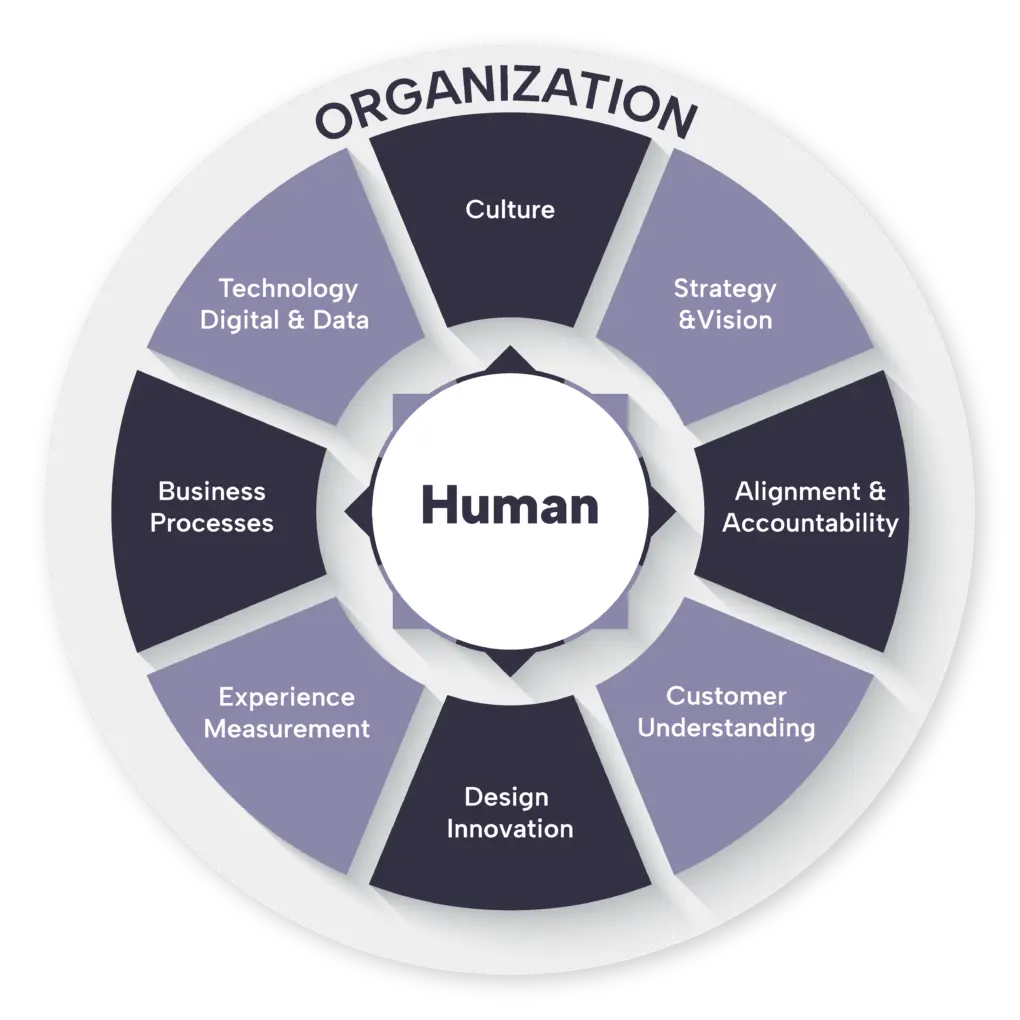 Xos model